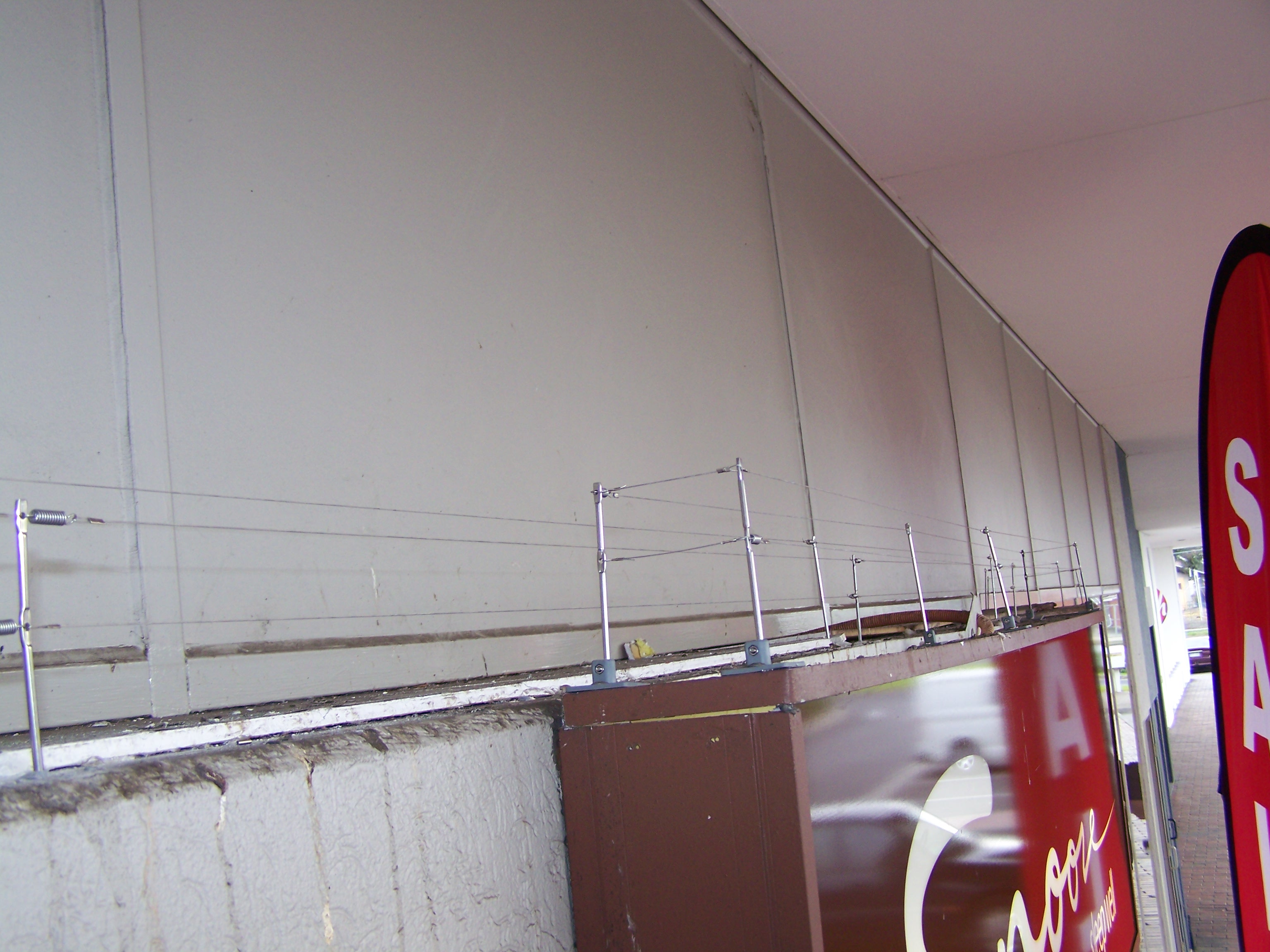 Post and Wire Bird Deterrent