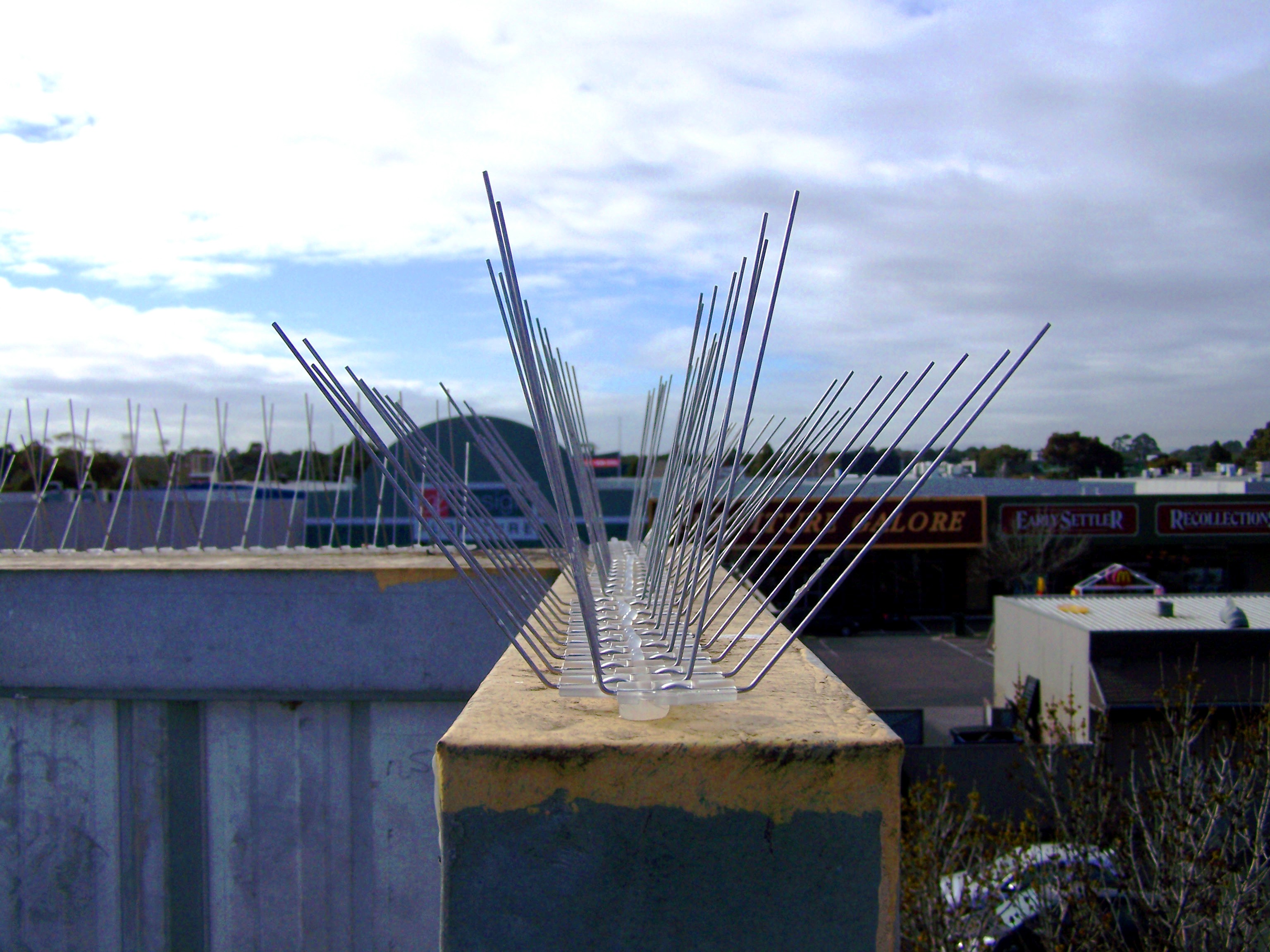 Bird Spikes