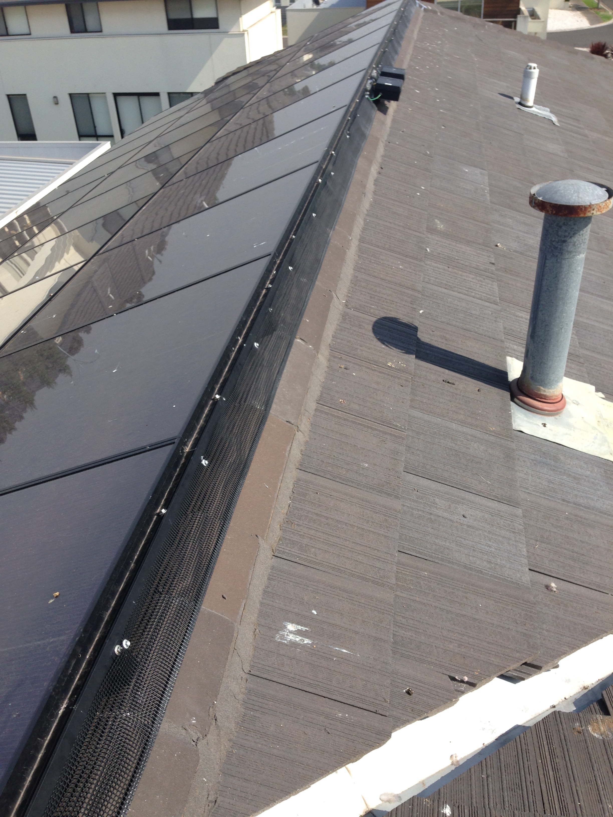 Birds Perching on and Nesting under Solar Panels