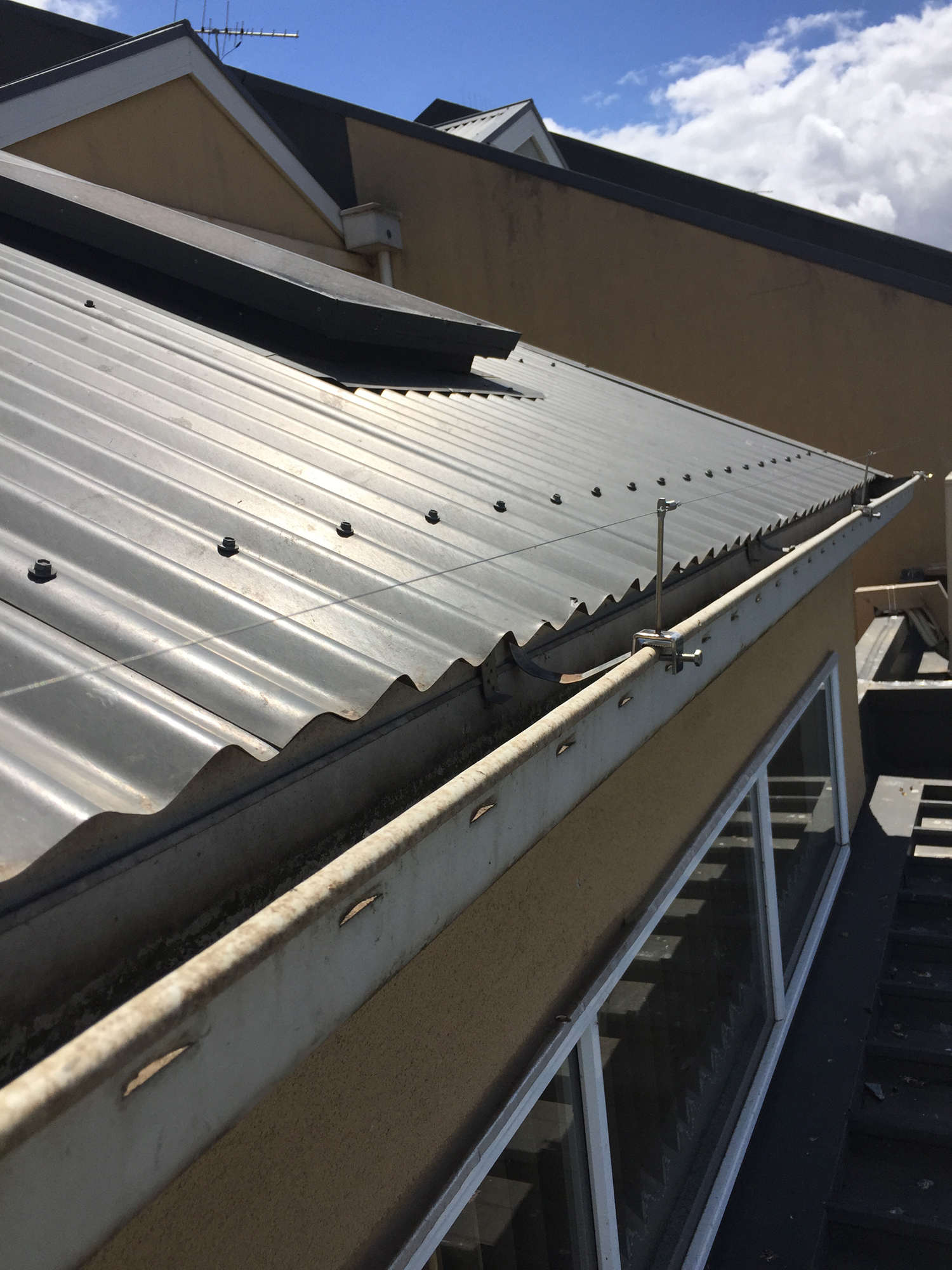 Post and Wire Bird Deterrent