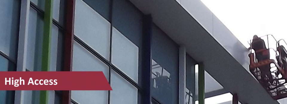 elitebird_slider-2-1024x3461