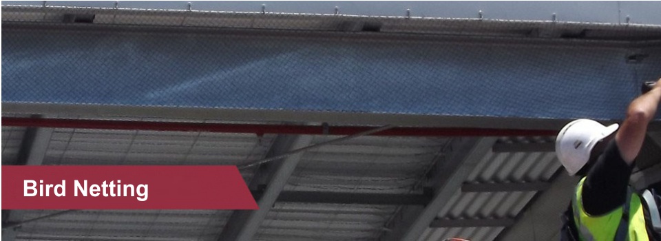 elitebird_slider-3-1024x3462